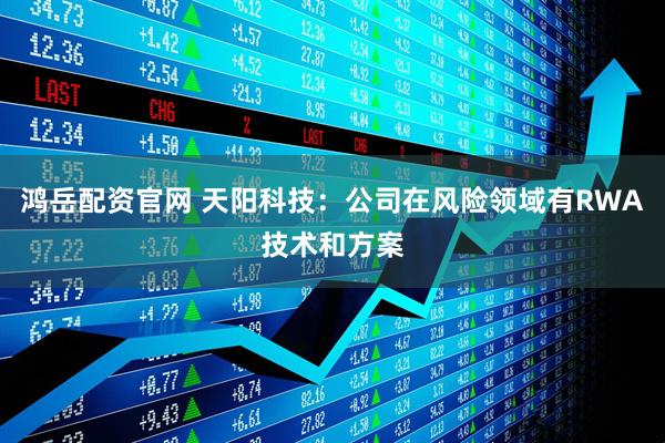 鸿岳配资官网 天阳科技：公司在风险领域有RWA技术和方案