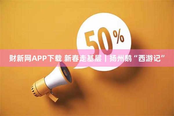 财新网APP下载 新春走基层｜扬州鹅“西游记”