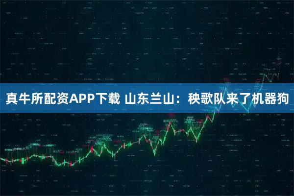 真牛所配资APP下载 山东兰山：秧歌队来了机器狗